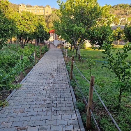 Ponte Romana Silves Kültér fotó